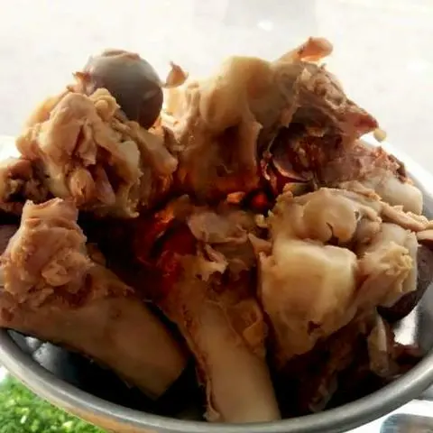 Hình ảnh Xương ống gân tủy
