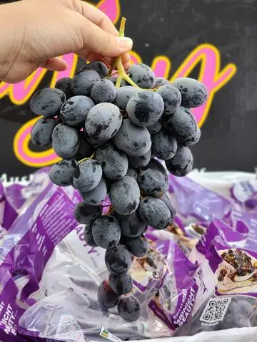 Hình ảnh Nho Đen Úc - Hộp 500gr