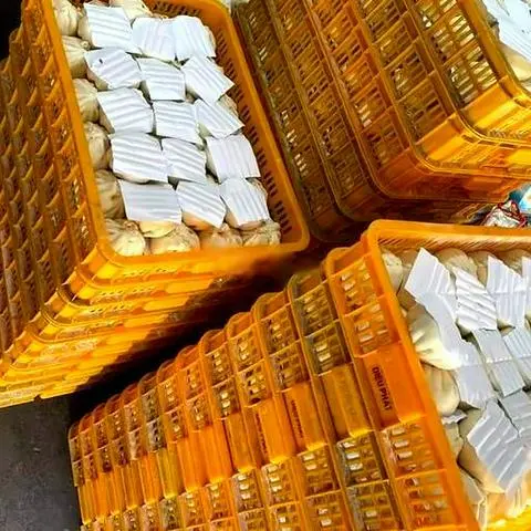 Hình ảnh Bánh bao đặc biệt - Chưa Hấp