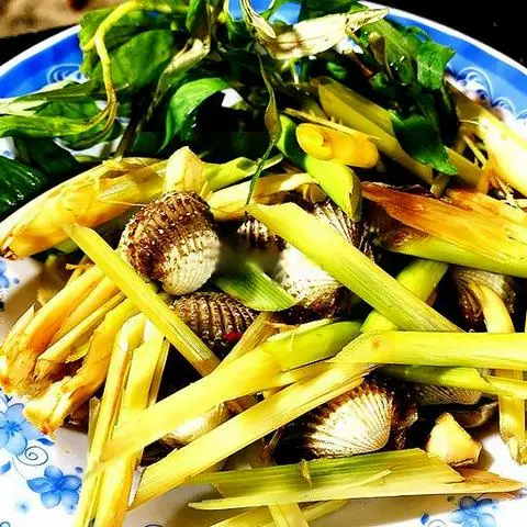 Hình ảnh Sò huyết lacot