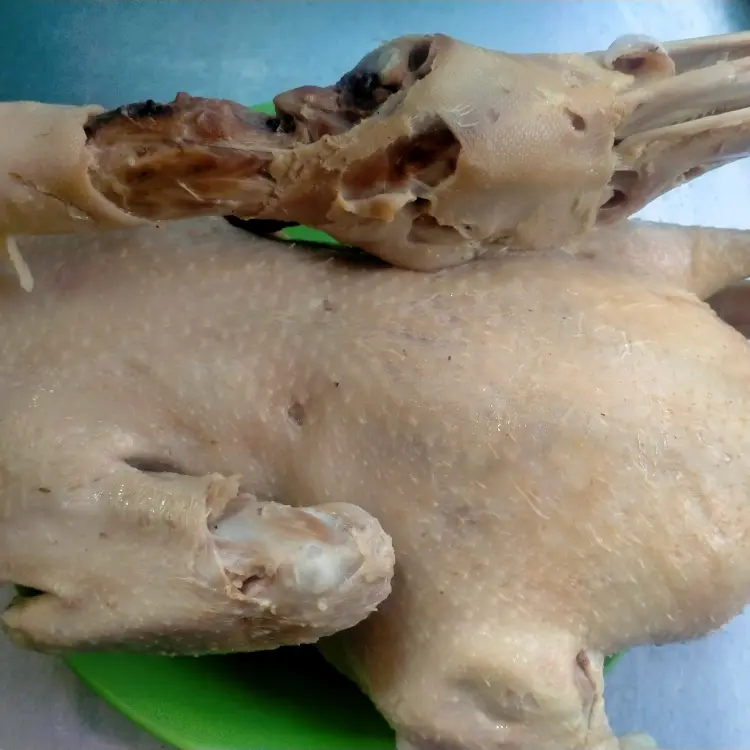 Hình ảnh vịt 1 con + gỏi 