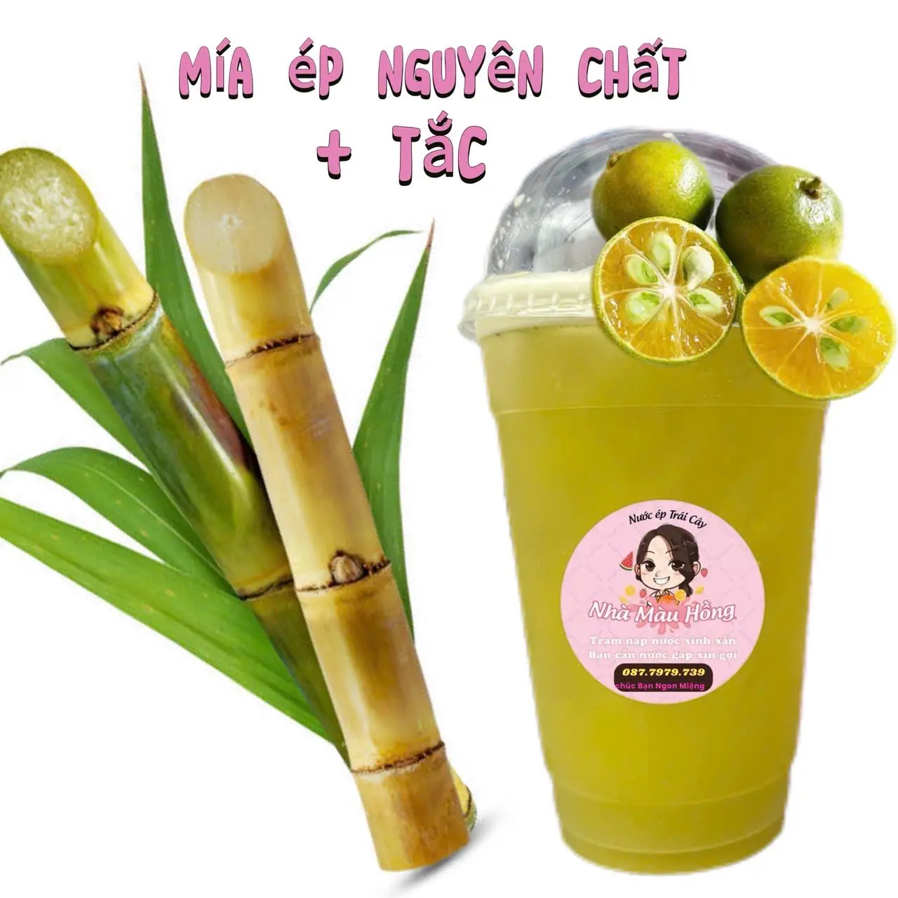 Hình ảnh Mía tắc