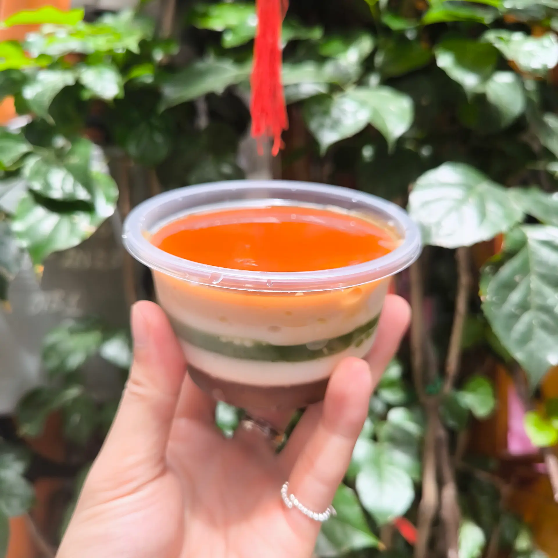 Hình ảnh RAU CÂU GIÒN