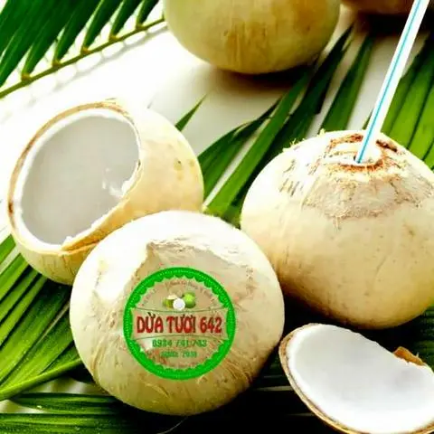 Hình ảnh 10 Trái dừa gọt trọc size đại