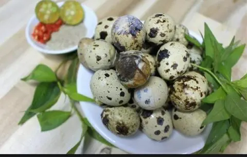 Hình ảnh Trứng cút lộn 