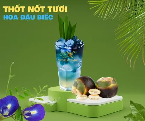 Hình ảnh Thốt Nốt Hoa Đậu Biếc - Size L