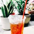 Hình ảnh Trà đào