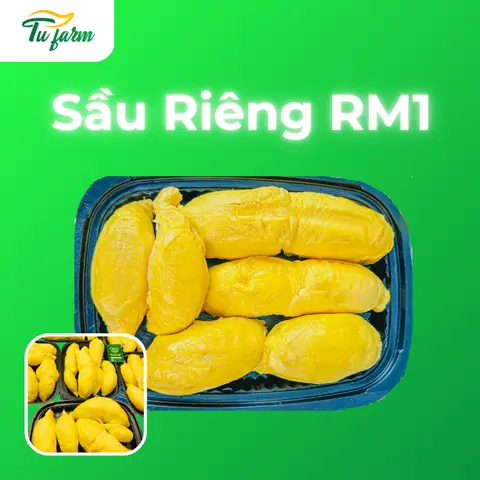 Hình ảnh Sầu riêng RM1 tách sẵn giống mới-ĐỘC QUYỀN-Loại 500g-bao NGON