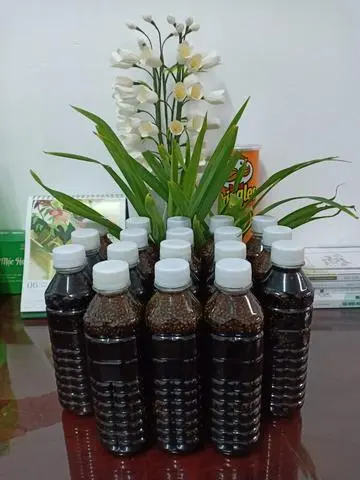 Hình ảnh Nước sương sáo hạt chia 