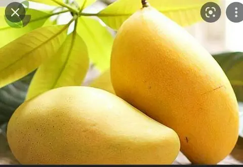 Hình ảnh Xoài Dằm