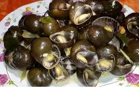 Hình ảnh ốc lát nướng tiêu xanh 