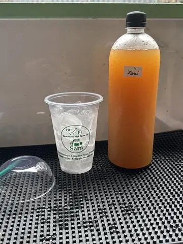 Hình ảnh Kombucha  chai to 1000ml