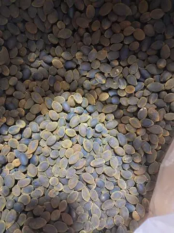 Hình ảnh Say vỏ chua ngọt 200 gr