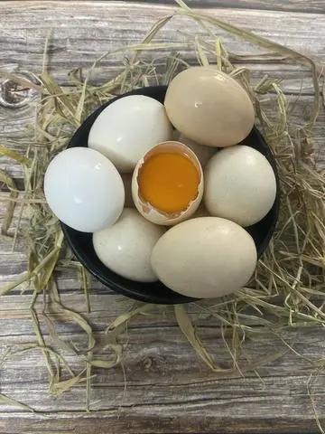 Hình ảnh trứng gà ta