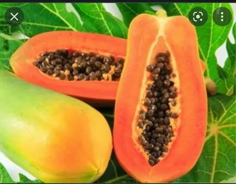 Hình ảnh Đu Đủ Dằm