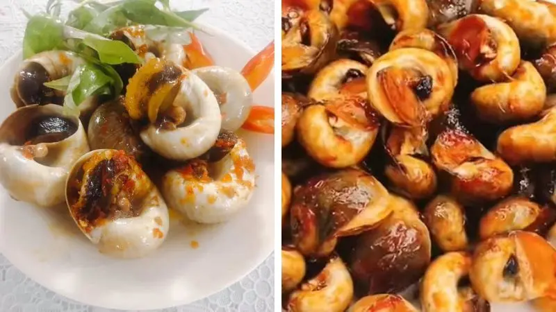 Hình ảnh ốc mỡ rang muối 