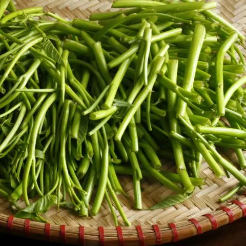 Hình ảnh Rau Muống