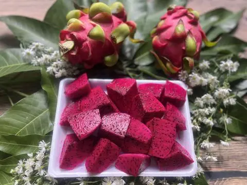 Hình ảnh Thanh Long Ruột Đỏ Cắt Sẵn - Hộp 500g