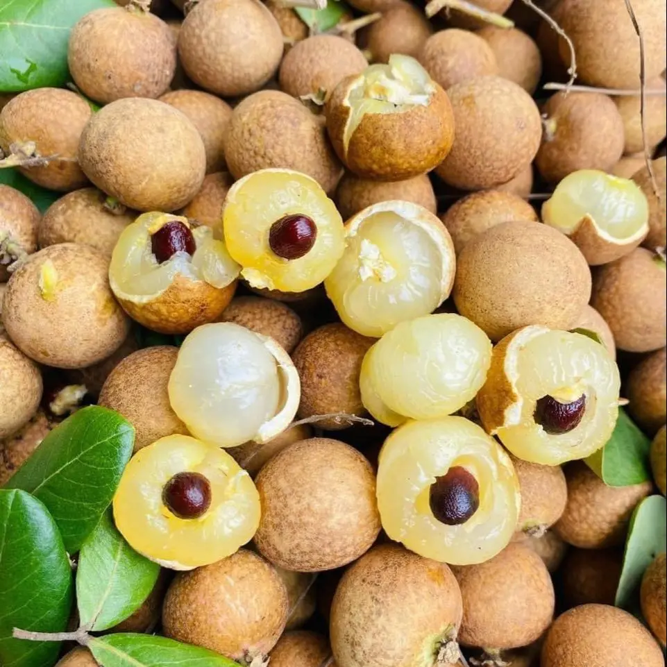 Hình ảnh Nhãn Thanh Cần Thơ Ngọt Lịm Thơm Cùi Dẻo_500gr
