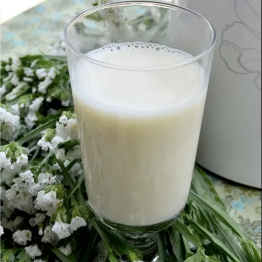 Hình ảnh Ép Củ Sắn(Củ Đậu) 250ml 