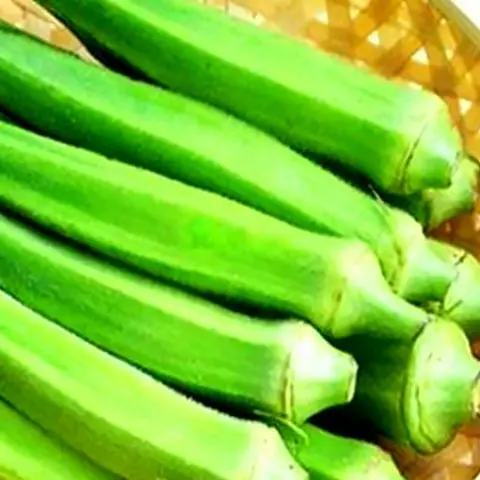 Hình ảnh Đậu bắp chiên - 5 trái