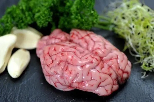 Hình ảnh óc bò tươi 