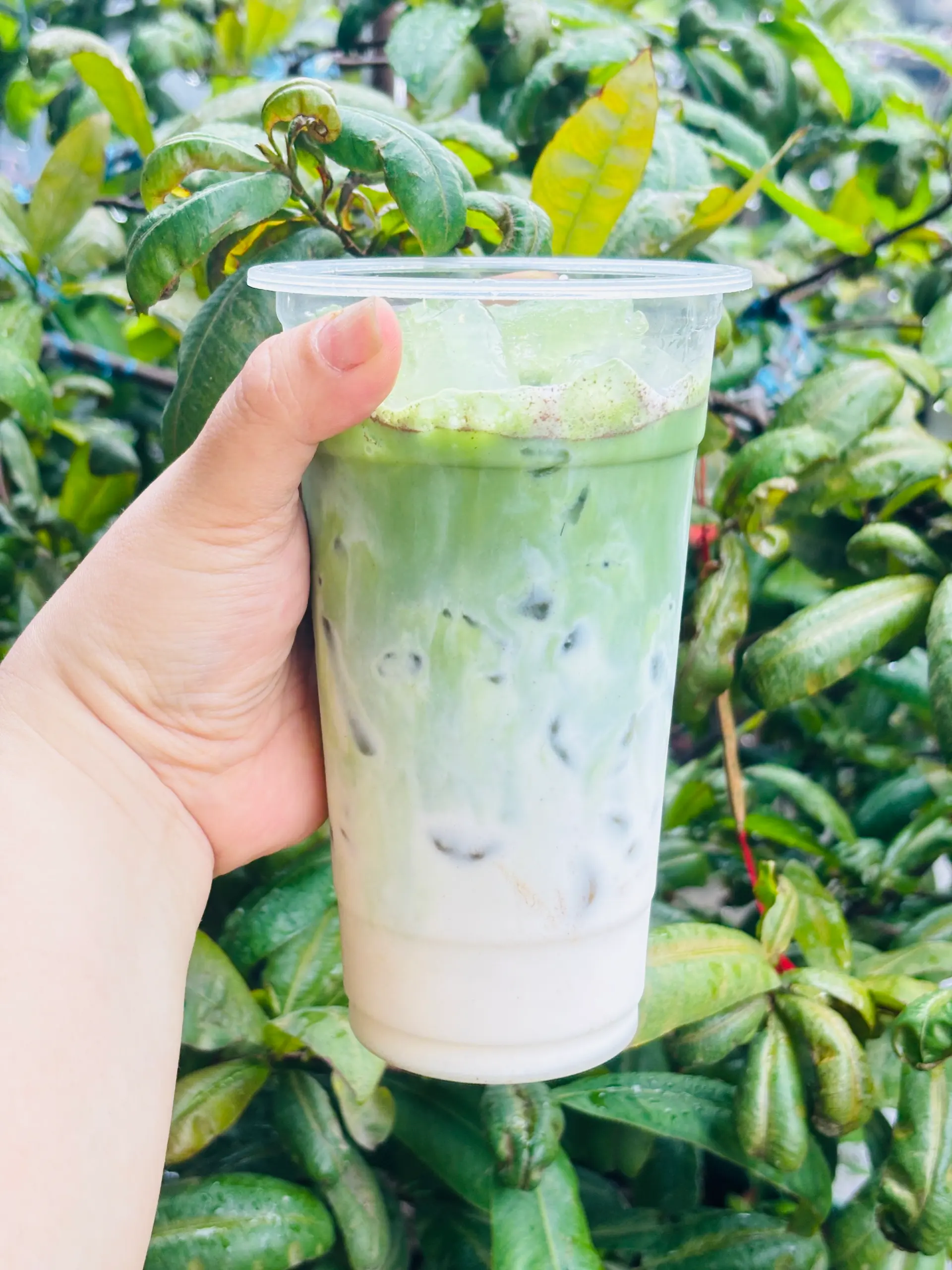 Hình ảnh Combo thơm béo
