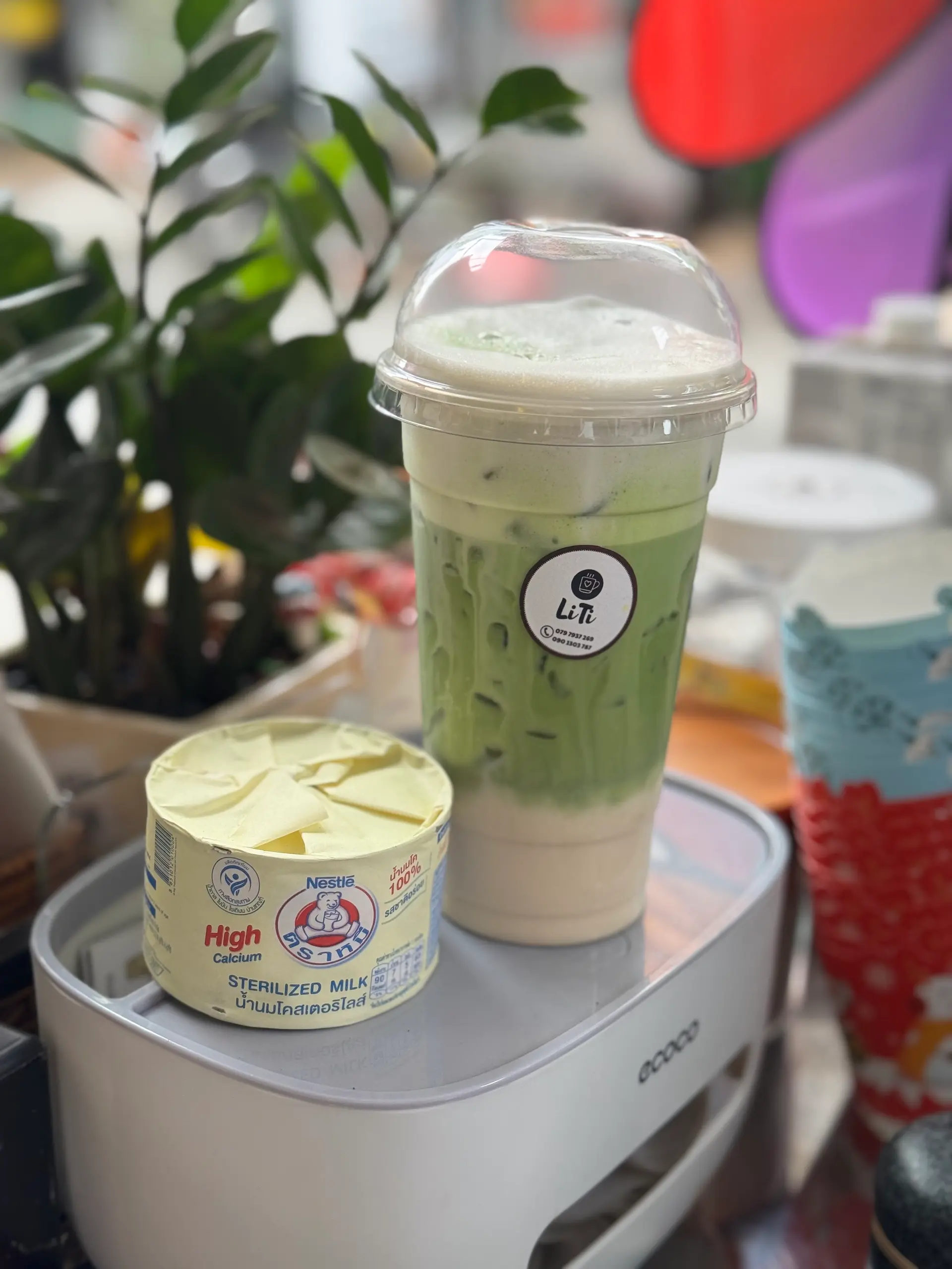 Hình ảnh Matcha sữa gấu