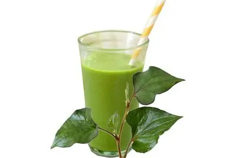 Hình ảnh Diếp Cá Mix Củ Quả