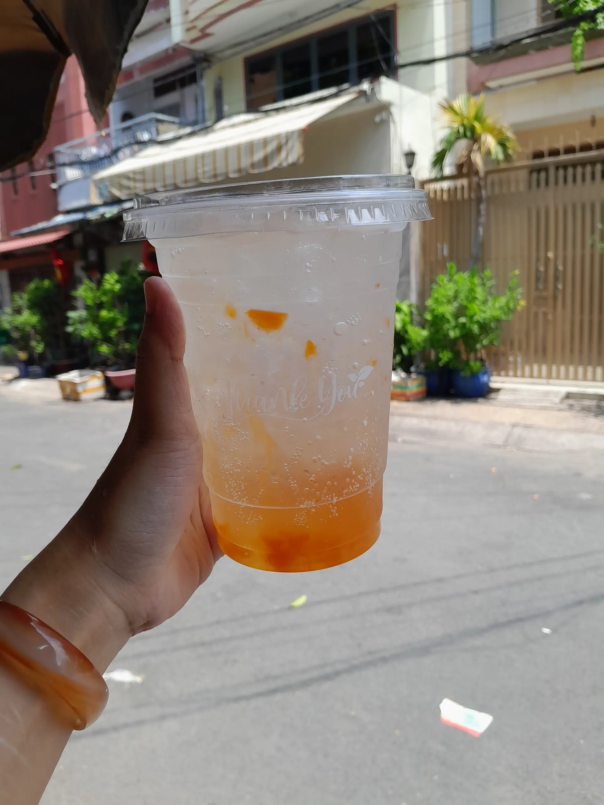 Hình ảnh SoDa Đào