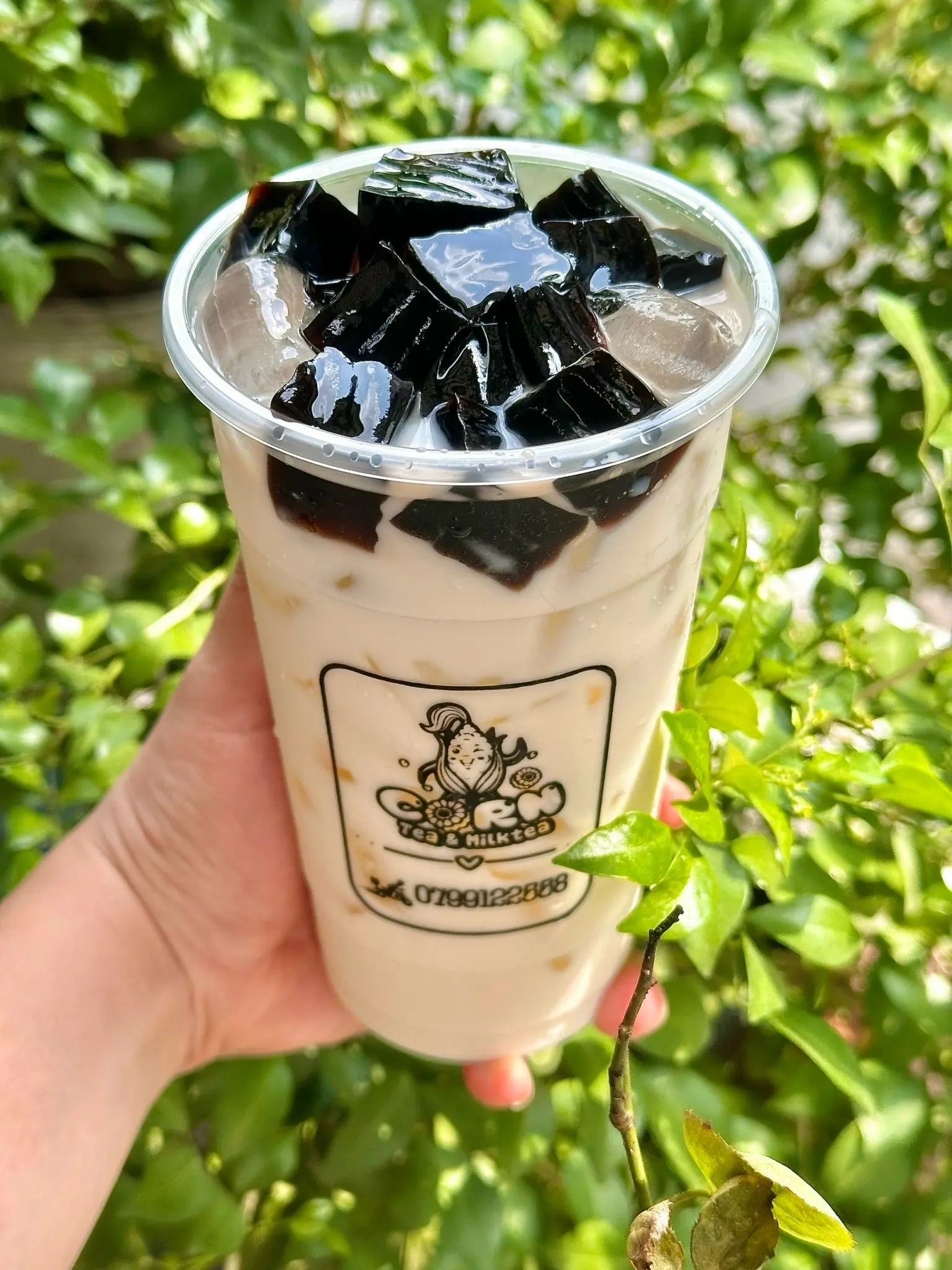 Hình ảnh Sữa tươi sương sáo