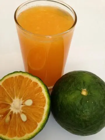Hình ảnh Nước cam