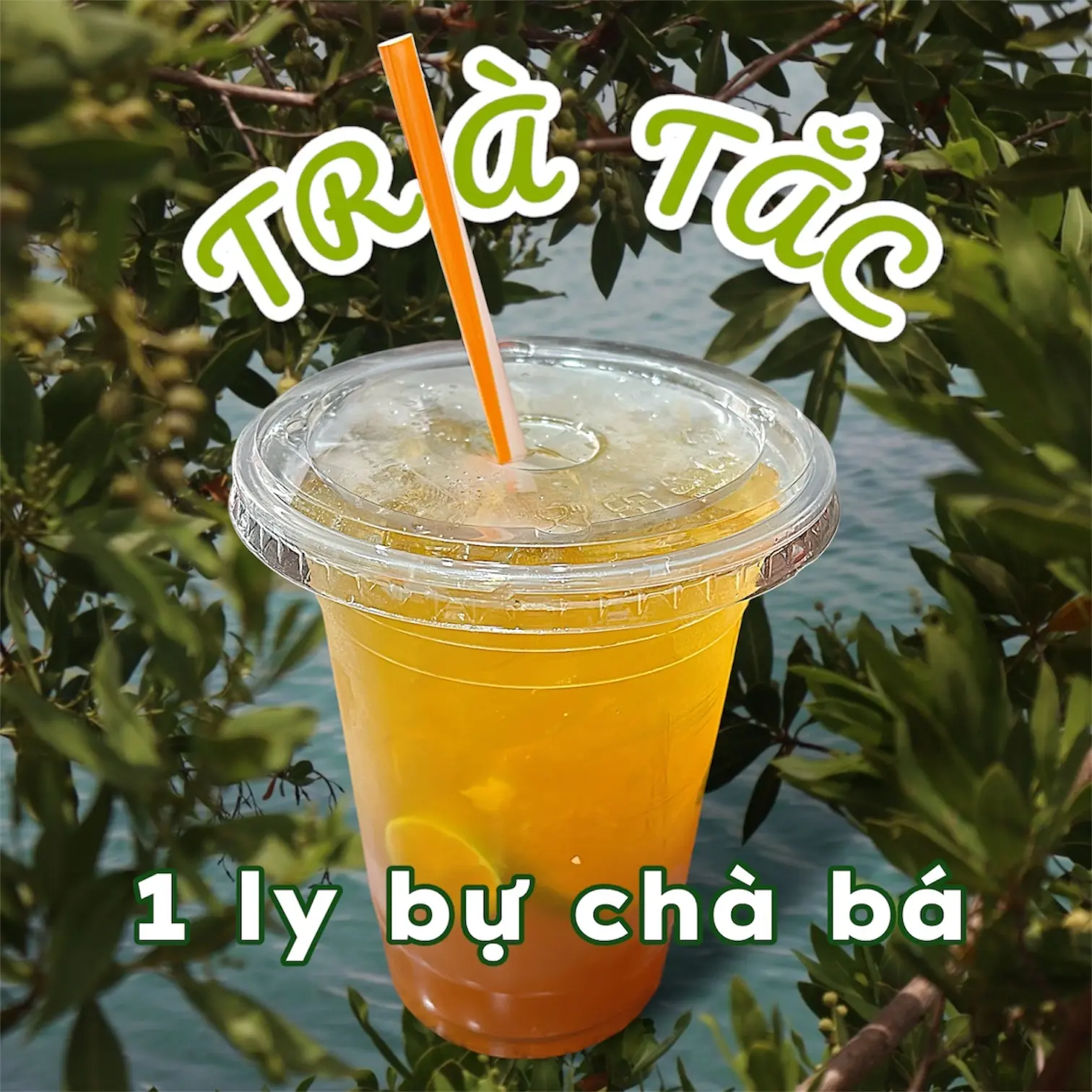 Hình ảnh Trà Tắc