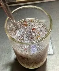 Hình ảnh Trà Bí Đao Hạt É ( Ly nhỏ )