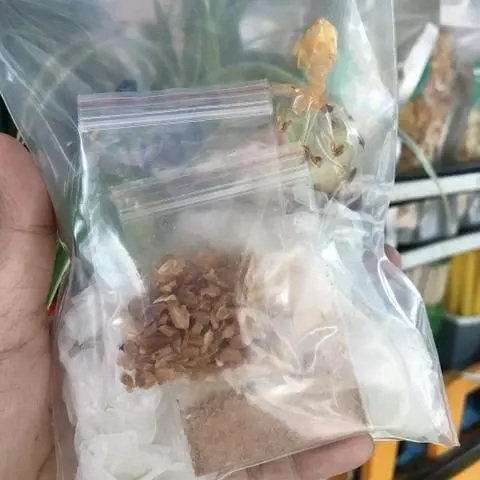 Hình ảnh BÁNH TRÁNG PHƠI SƯƠNG SA TẾ