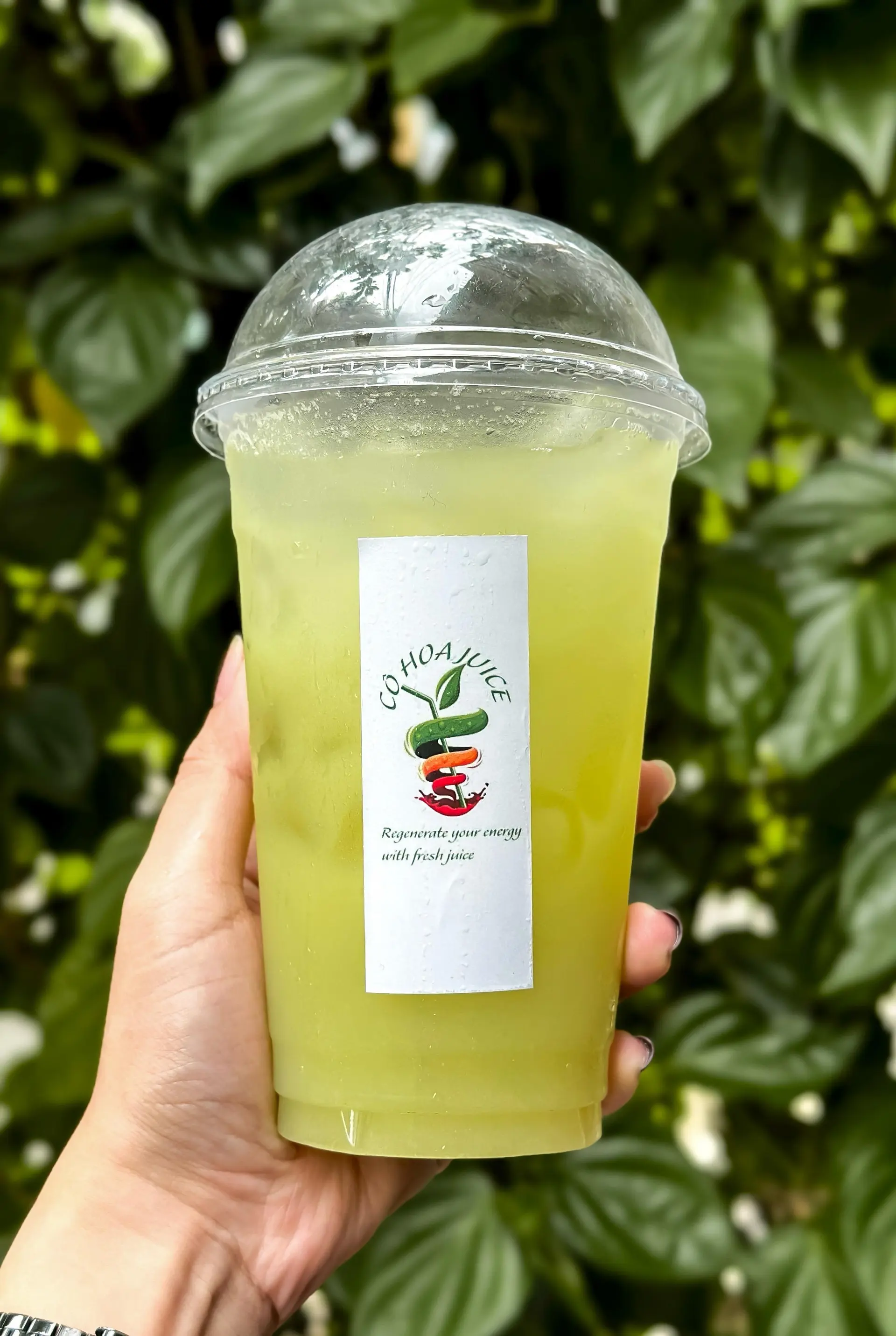 Hình ảnh Nước Ép Ổi