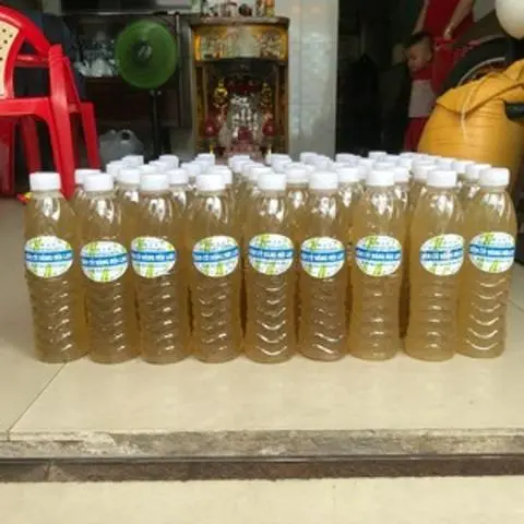 Hình ảnh Sâm củ năng mía lau