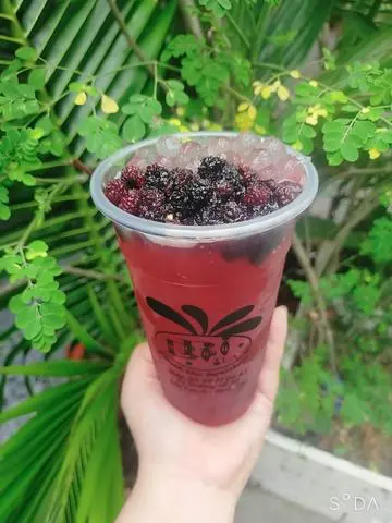 Hình ảnh Trà dâu tằm 