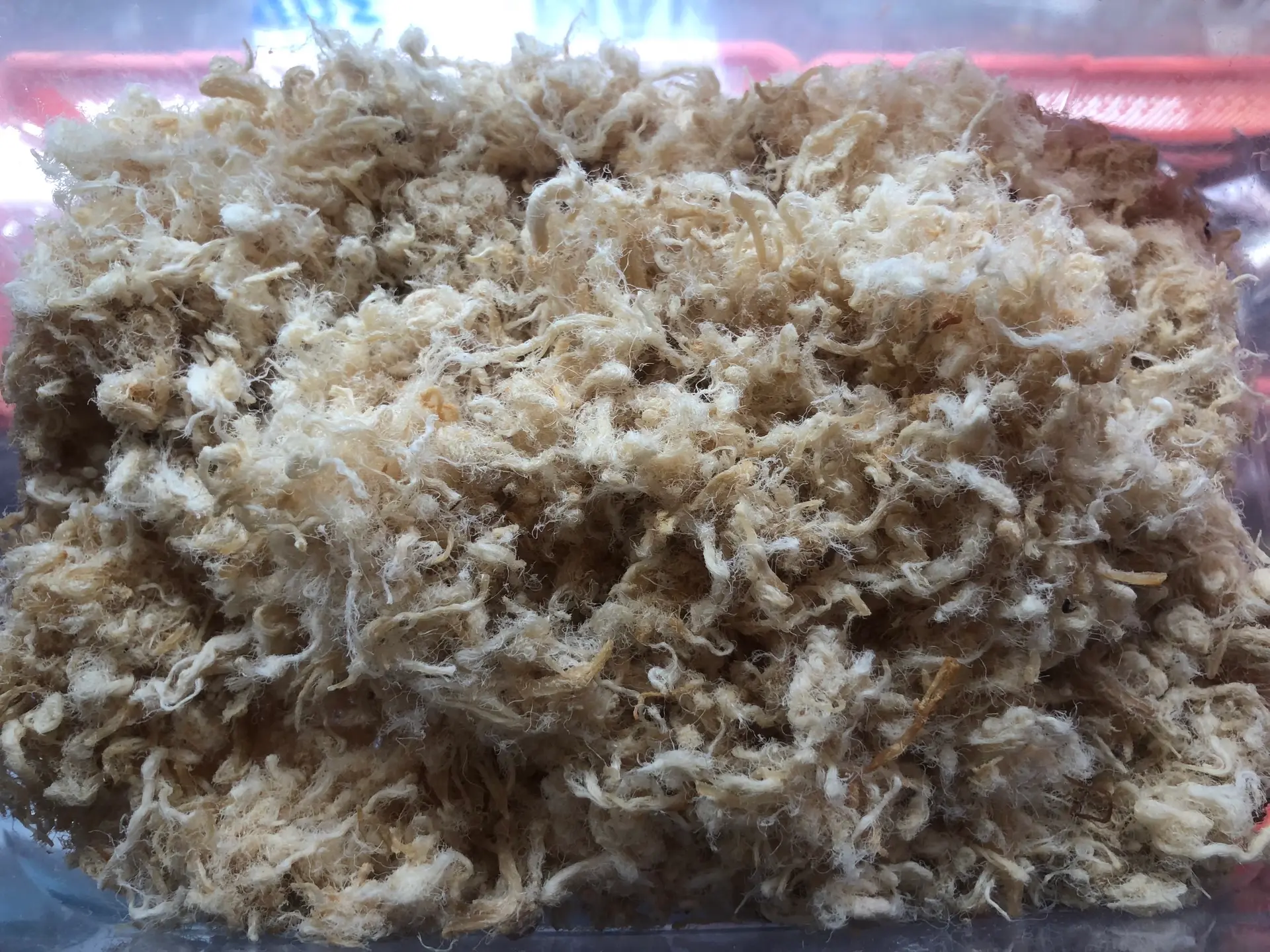 Hình ảnh Ruốc thêm