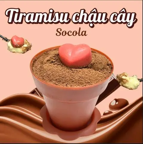 Hình ảnh Tiramisu Chậu Cây Chocolate