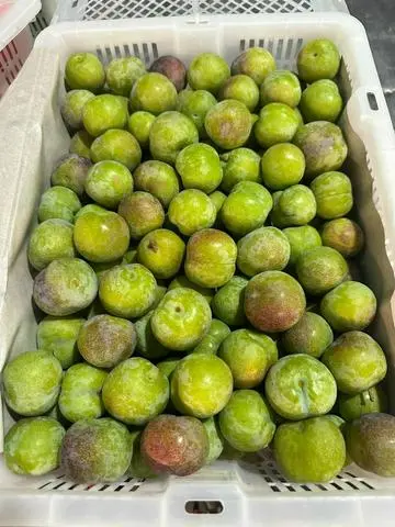 Hình ảnh Mận Róc Hạt 0,5kg