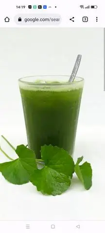 Hình ảnh rau má nước cốt dừa 800ml