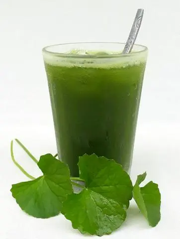 Hình ảnh Nước rau má
