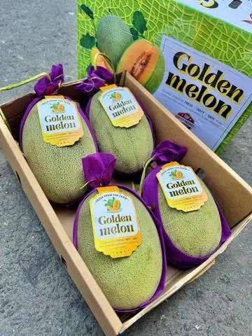 Hình ảnh Dưa lưới Golden Melon