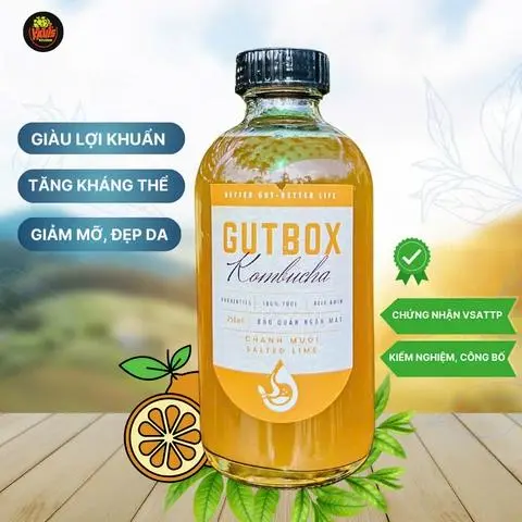 Hình ảnh Kombucha Tươi - Vị Chanh Muối