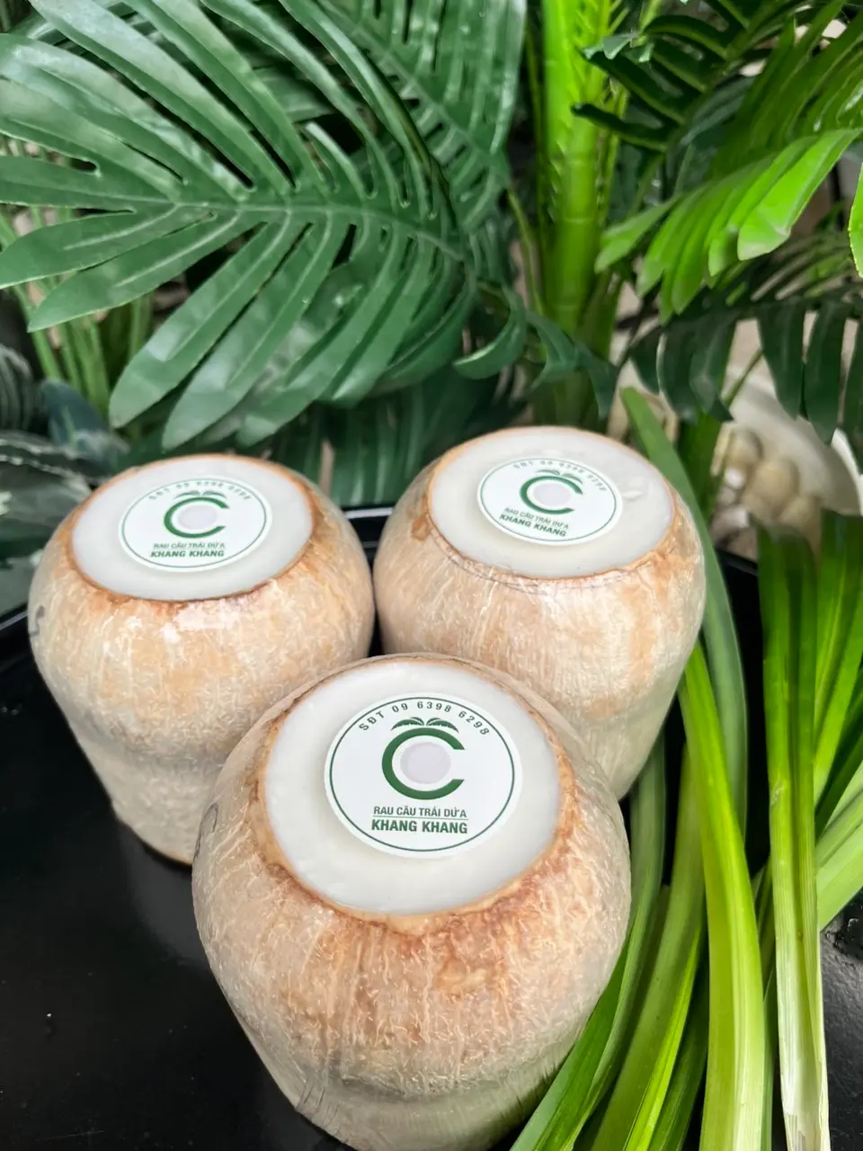 Hình ảnh Rau câu trái dừa vị nguyên bản - M (500gr - 550gr/trái)