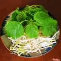 Hình ảnh Rau sống thêm 