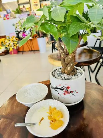 Hình ảnh Yaourt hạt đác