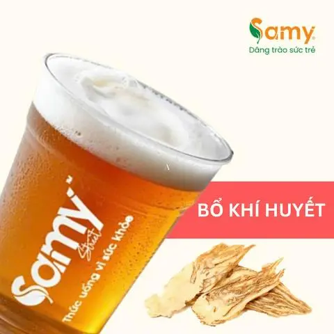 Hình ảnh Đương Quy Bì Tửu - Bổ Khí Dưỡng Huyết