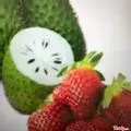 Hình ảnh Sinh tố dâu mãng cầu